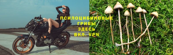 mix Тутаев