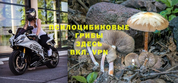 mix Тутаев