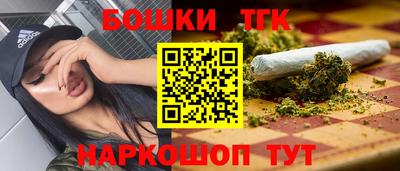 гашик Гусь-Хрустальный