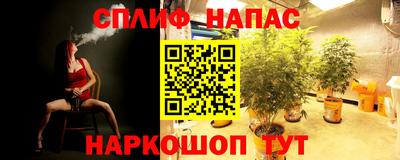 apvp Гусиноозёрск