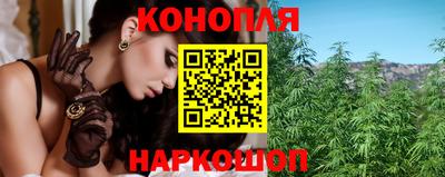 гашик Гусь-Хрустальный