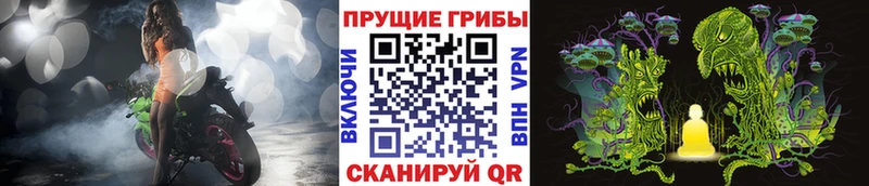 Псилоцибиновые грибы Psilocybe  где можно купить наркотик  Прокопьевск 