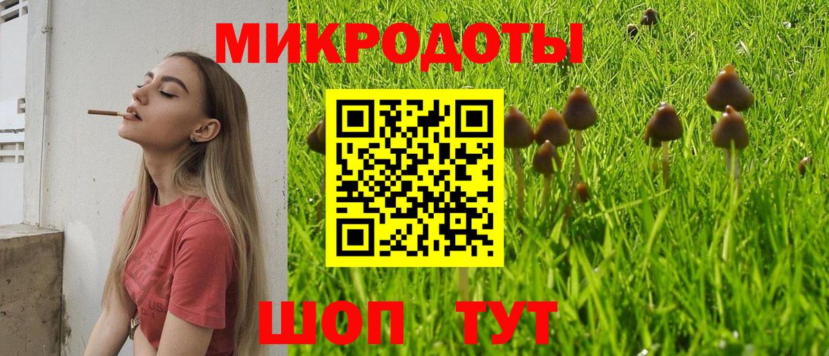 Псилоцибиновые грибы ЛСД  Прокопьевск  Галлюциногенные грибы Psilocybe 