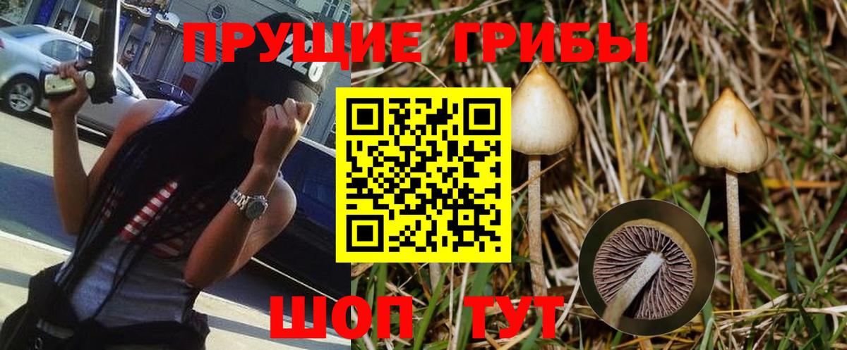 Галлюциногенные грибы мухоморы Прокопьевск