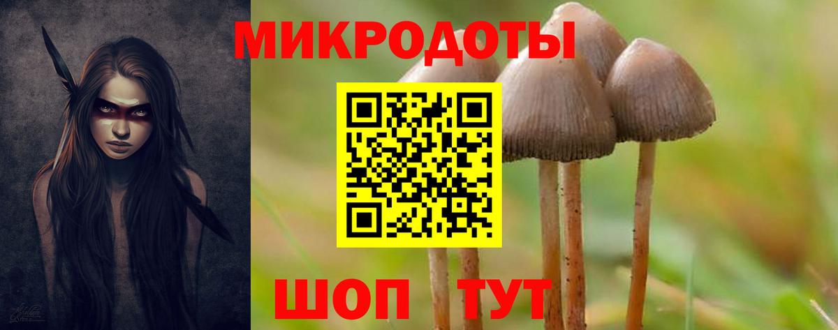 Галлюциногенные грибы Magic Shrooms  Вход с VPN  наркота  Псилоцибиновые грибы прущие грибы  Прокопьевск 
